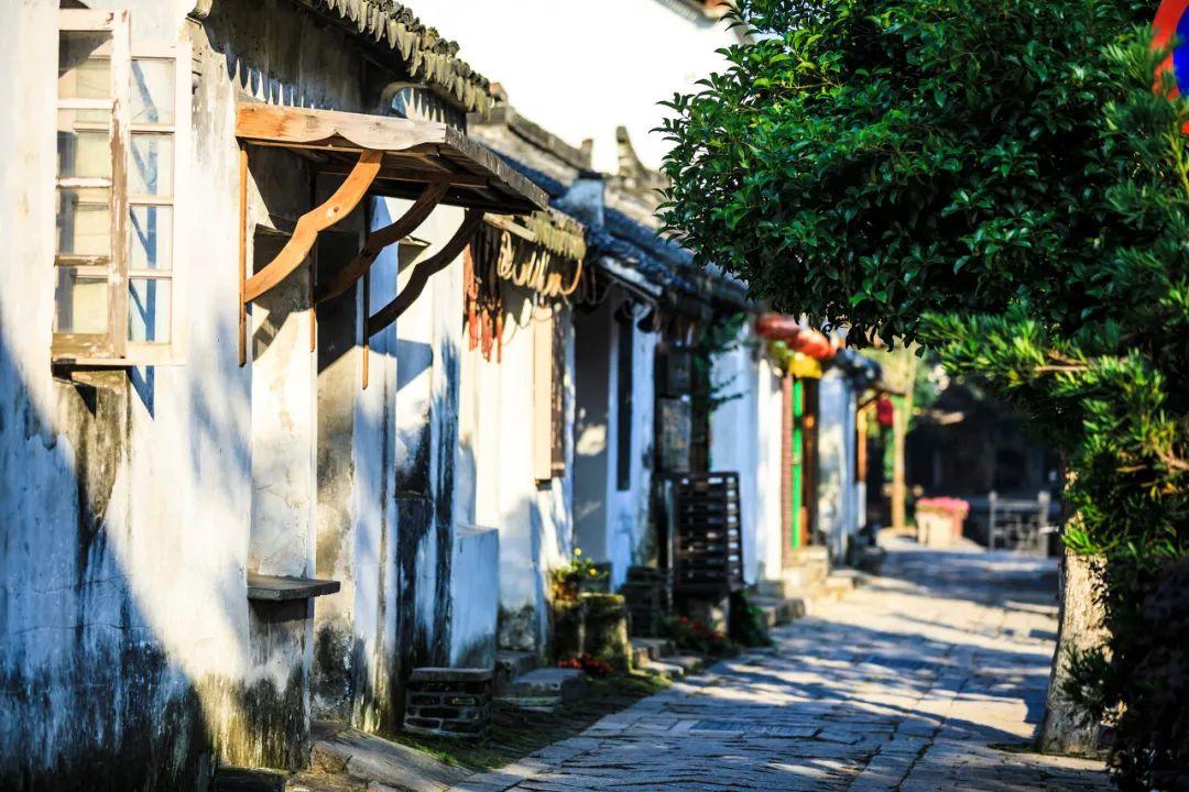 救援瓢虫宝宝